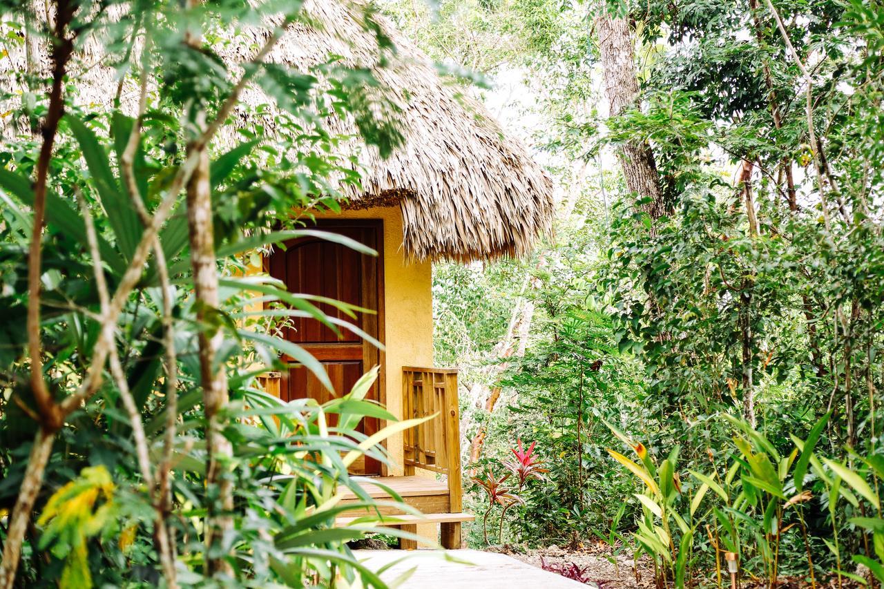 Amber Sunset Jungle Resort San Ignacio Exteriér fotografie