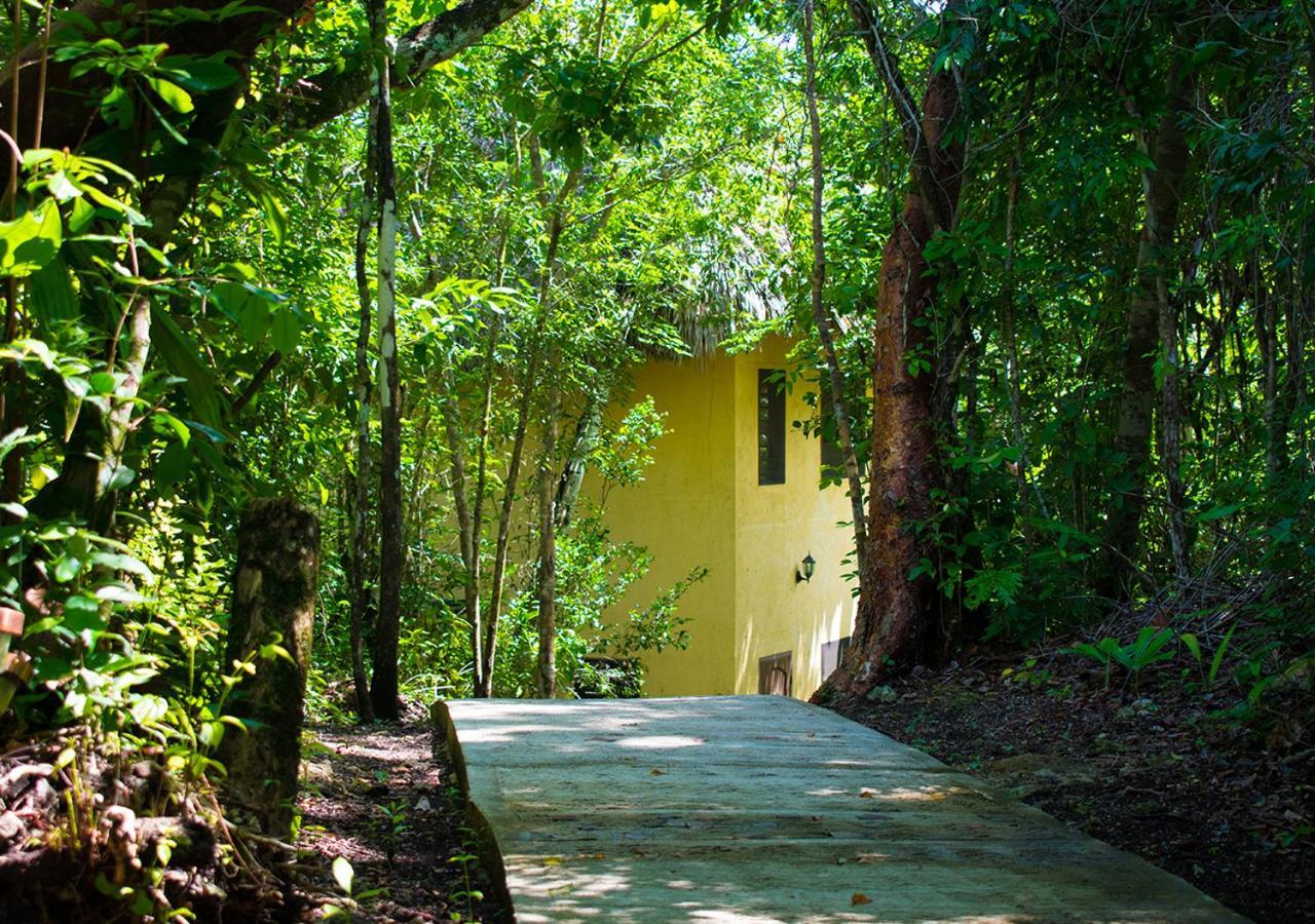 Amber Sunset Jungle Resort San Ignacio Exteriér fotografie